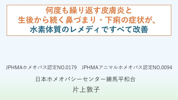 2024年第25回JPHMAコングレス発表ケース